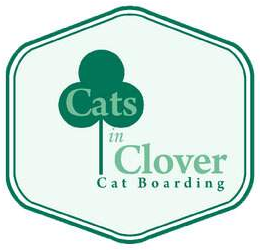 Cats in Clover Cattery